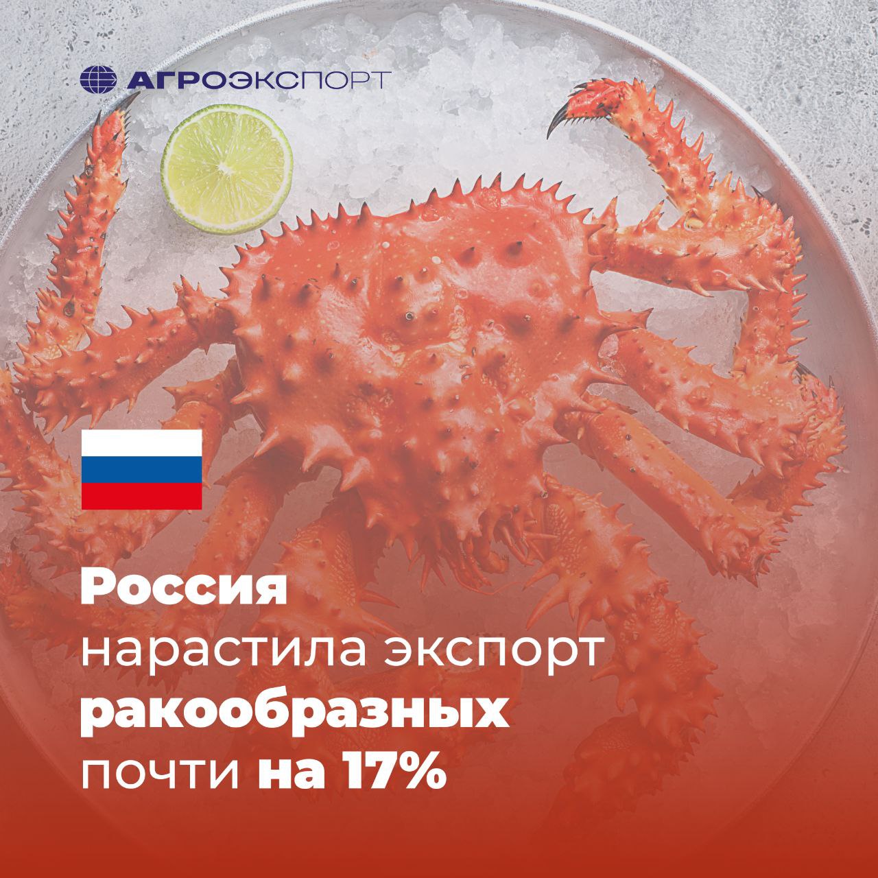 Россия нарастила экспорт ракообразных почти на 17% Согласно оценкам экспертов, за период январь-июнь 2025 года Россия ввезла на территорию стран-импортеров более 43 тыс. тонн ракообразных на сумму более 933 млн долл. США. В сравнении с тем же периодом прошлого года российский экспорт вырос на 15% в натуральном выражении и на 17% — в стоимостном. Основной объем в денежном выражении пришелся на Китай и Южную Корею. Так, в Поднебесную было экспортировано порядка 21 тыс. тонн на более чем 543 млн долл. США, а в Южную Корею — около 19,5 тыс. тонн на почти 356 млн долл. США. На третьем месте в списке стран-импортеров разместилась Япония с 1,1 тыс. тонн на более 18,5 млн долл. США. В топ-3 видов продукции из ракообразных входят: крабы живые, свежие и охлажденные; мороженые крабы; креветки. В списке российских регионов, экспортирующих ракообразных в 2025 году, — более 20 субъектов РФ, при этом основной объем приходится на Приморский и Хабаровский края, а также Мурманскую область. #агроэкспорт #новостиАПК