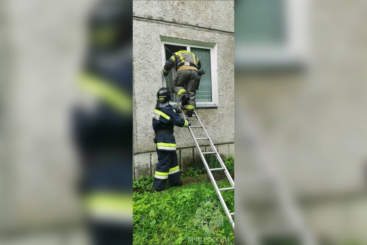 В Железногорске спасли женщину, которая оказалась заперта в квартире Пенсионерка вызвала «скорую» и не смогла самостоятельно открыть медикам дверь. Жительница оказалась заперта в квартире и сильно напугалась. За помощью к пожарным-спасателям обратились полицейские. Прибыв на место, сотрудники попали в квартиру через окно, с помощью лестницы. К счастью, женщина была в безопасности. Ее передали медикам, которые оказали необходимую помощь. ФГКУ "Специальное управление ФПС № 2 МЧС России"