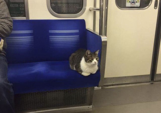 В Казани с января 2026 года вырастет стоимость проезда в метро Одна поездка подорожает до 46 рублей   entermedia io news v kazani s yanvarya 2026 goda vyrastet stoimost poezdok v metro Если вы вдруг забыли в наземном транспорте с начала года проезд тоже будет дороже