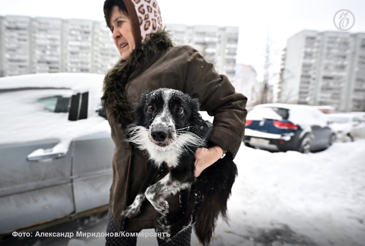 Депутатский законопроект об обязательном учете домашних животных с помощью ошейников бирок или микрочипов поддержит правительство Однако в кабмине попросили его доработать В частности в материалах должны быть учтены расходы на доработку базы данных Россельхознадзора куда будут стекаться данные о питомцах На это потребуется 67 5 млн руб Депутатам также следует учесть что дополнительные затраты понесут и граждане которым придется маркировать животных но пока не ясно сколько будет стоить процедура Отдельное нарекание у чиновников вызвало отсутствие в законопроекте информации о том кто будет контролировать соблюдение требований о маркировке животных и какие санкции последуют за нарушение Законопроект аналогичного содержания ранее подготовило и Минприроды документ планируется внести в правительство только в 2026 году Один из авторов депутатского законопроекта Нина Останина пояснила Ъ что свой собственный документ парламентарии решили разработать из за промедлений Минприроды Ъузнал