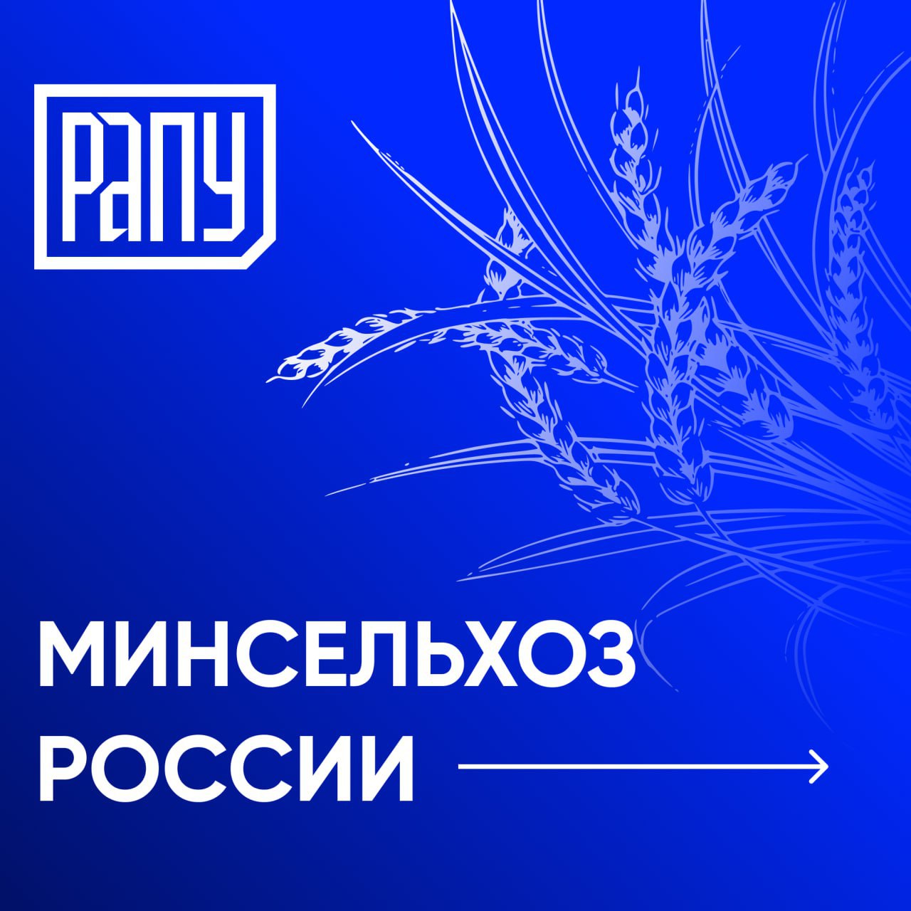 Минсельхоз России оценил готовность аграриев черноземной части ЦФО к посевной  Вопросы подготовки аграриев черноземной части Центрального федерального округа к весенним полевым работам обсудили на совещании под председательством замминистра сельского хозяйства Андрея Разина. Об этом сообщается на сайте ведомства.  Участники мероприятия отметили, что подготовка к полевым работам в регионах Черноземья соответствует планам. Необходимыми материально-техническими ресурсами аграрии обеспечены в полном объеме. В заключение замминистра подчеркнул важность соблюдения структуры посевных площадей, выполнения плана закупки минеральных удобрений и сельскохозяйственной техники, а также своевременного доведения средств господдержки до получателей.  Регионы Черноземья являются основными производителями продукции растениеводства в ЦФО. Сбор зерновых и зернобобовых культур ежегодно составляет более 22%, а сои - свыше 50% от общероссийских показателей. Достойные результаты отмечаются по картофелю, плодам и ягодам в организованном секторе.   #Минсельхоз, #АПК, #посевная_2025