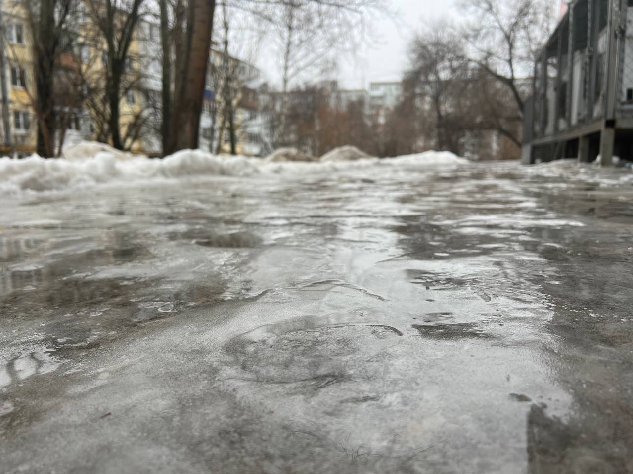 В Самарской области объявлен желтый уровень погодной опасности  В ночь и утром 20 января местами в регионе ожидается гололёд толщиной от 1 до 5 миллиметров. Об этом сообщили в пресс-службе МЧС. На дорогах и пешеходных дорожках возможно образование гололедицы.  Из-за ледяной корки на дорогах и тротуарах возрастает риск падений и травм. Поэтому важно быть внимательными и соблюдать меры предосторожности.   : МЧС России по Самарской области