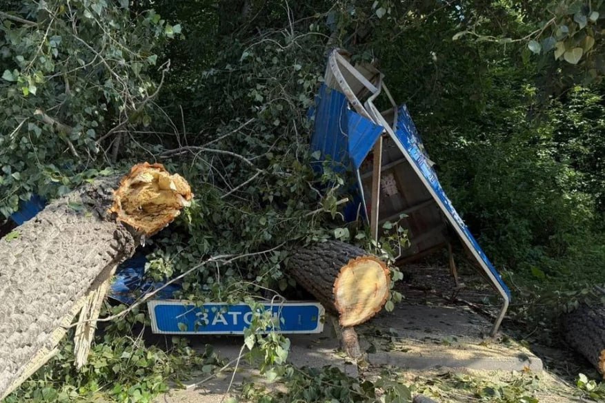 Дерево рухнувшее на остановку с людьми в Новосибирске не было аварийным Об этом радио КП Новосибирск сообщил первый заммэра города Иосиф Кодалаев Дерево которое упало внешне абсолютно никаких признаков болезни или скорого обрушения не демонстрировало Не было никаких фактов которые позволили бы признать его аварийным сказал он Кодалаев добавил что упавший тополь и рядом стоящие деревья было решено спилить так как они все примерно одного возраста В дальнейшем специалисты обследуют остальные деревья в районе самые опасные будут снесены   Подпишись на КП Новосибирск