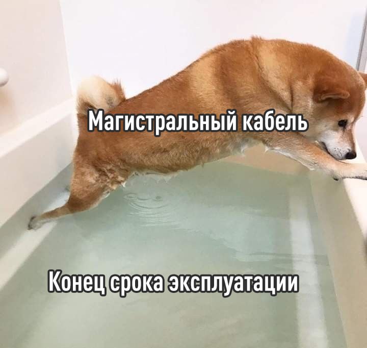 В России ожидается значительное снижение скорости интернета Аналитики из J son Partners Consulting предупреждают что магистральные оптические кабели в стране быстро изнашиваются В этом году до 70 кабелей на ключевом маршруте запад восток превысят срок службы а линии уже перегружены Предстоит заменить более 400 000 км старой оптики что повлияет на операторов транспорт и энергетику Когда начнется модернизация пока не ясно Готовимся к замедлениям TechGPTNews