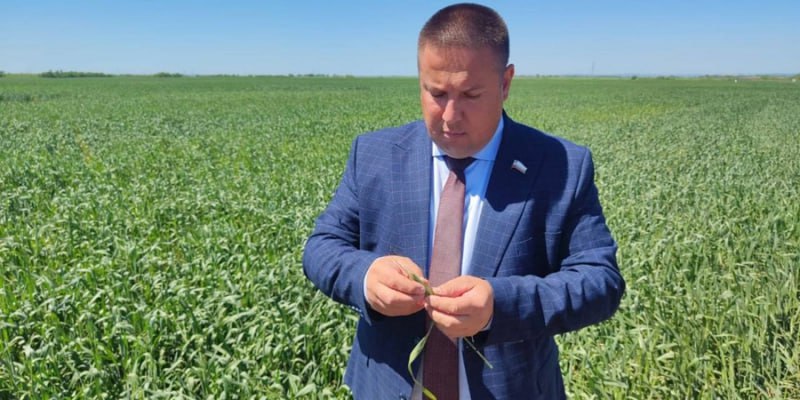 Глава саратовского минсельхоза Роман Ковальский уходит в отставку Заместитель председателя правительства Саратовской области Роман Ковальский который также является министром сельского хозяйства уходит в отставку Об этом сообщает телеграм канал Пул Z 64 Заместитель председателя правительства Саратовской области министр сельского хозяйства Саратовской области Роман Ковальский с 19 января будет освобожден от занимаемой должности по собственному желанию говорится в официальном сообщении Роман Ковальский возглавил министерство сельского хозяйства 30 июля 2020 года а 4 февраля 2021 года его назначили на должность зампреда правительства региона министра сельского хозяйства На посту министра он сменил Татьяну Кравцеву