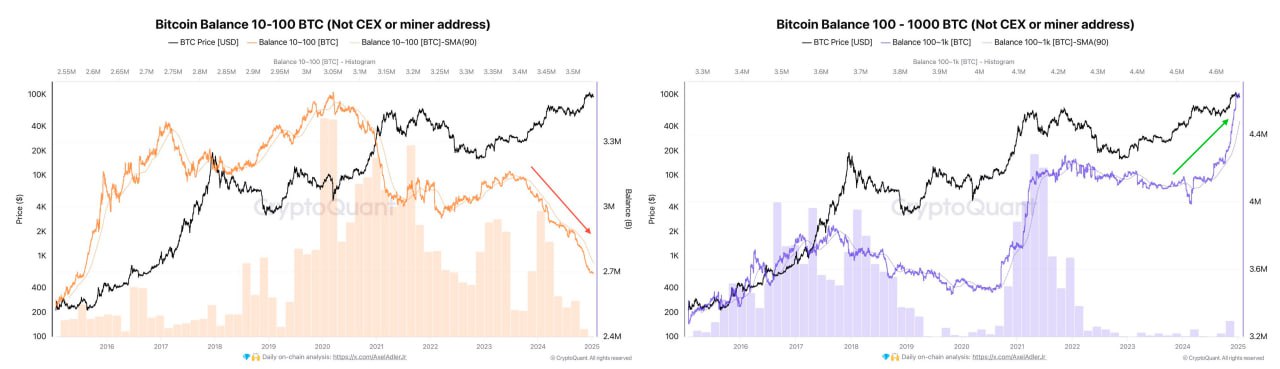 Крупные киты накапливают биткоины  Адреса с балансом 10-100 BTC уже больше года активно продают монеты. Их баланс за это время уменьшился на 370 000 BTC.  Между тем, более крупные кошельки с балансом от 100 до 1000 BTC увеличили свой общий баланс на 610 000 BTC за тот же период.    Торгуем на Bybit     Торгуем на BingX      Pro Energy