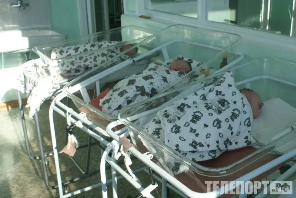 Первая тройня этого года родилась в Приамурье Дети появились на свет в семье благовещенцев где уже подрастают две девочки В этом году на свет появилась первая тройня Теперь в семье города Благовещенска будут подрастать девочка и два мальчика как отметили в пресс службе амурского Минздрава Новорожденные появились на свет 9 апреля с хорошим для тройни весом 1877 1360 и 2300 грамм чем поделились в пресс службе Амурской областной клинической больницы Учитывая риск преждевременных родов при многоплодной беременности пациентка находилась под бдительным контролем наших специалистов неоднократно проходила лечение в нашем отделении Также мы проводили телемедицинские консультации с коллегами из НМИЦ им В И Кулакова рассказала заведующая акушерским отделением патологии беременности Ольга Федорова Специалист наблюдала пациентку в течение беременности и проводила ей операцию кесарева сечения Отмечается что новость о тройне оказалась для будущей мамы сюрпризом В Минздраве Приамурья рассказали что родители уже воспитывают двух дочерей За первые четыре месяца 2026 года в Амурском областном перинатальном центре на свет появилось 946 малышей за одни сутки три пары двойняшек также отмечают в амурском Минздраве ТЕЛЕПОРТ РФ здесь все об Амурской области Мы в МАХ Написать нам