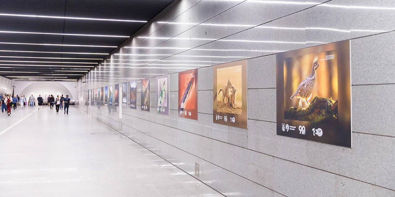 Фотовыставка «Самая красивая страна!» открылась в московском метро. Экспозиция будет работать до 31 августа в переходе между станциями «Динамо» Замоскворецкой линии и «Петровский парк» Большой кольцевой линии. Пассажиры увидят 20 работ финалистов XI фотоконкурса Русского географического общества. Снимки посвящены архитектуре, традициям и природе России.