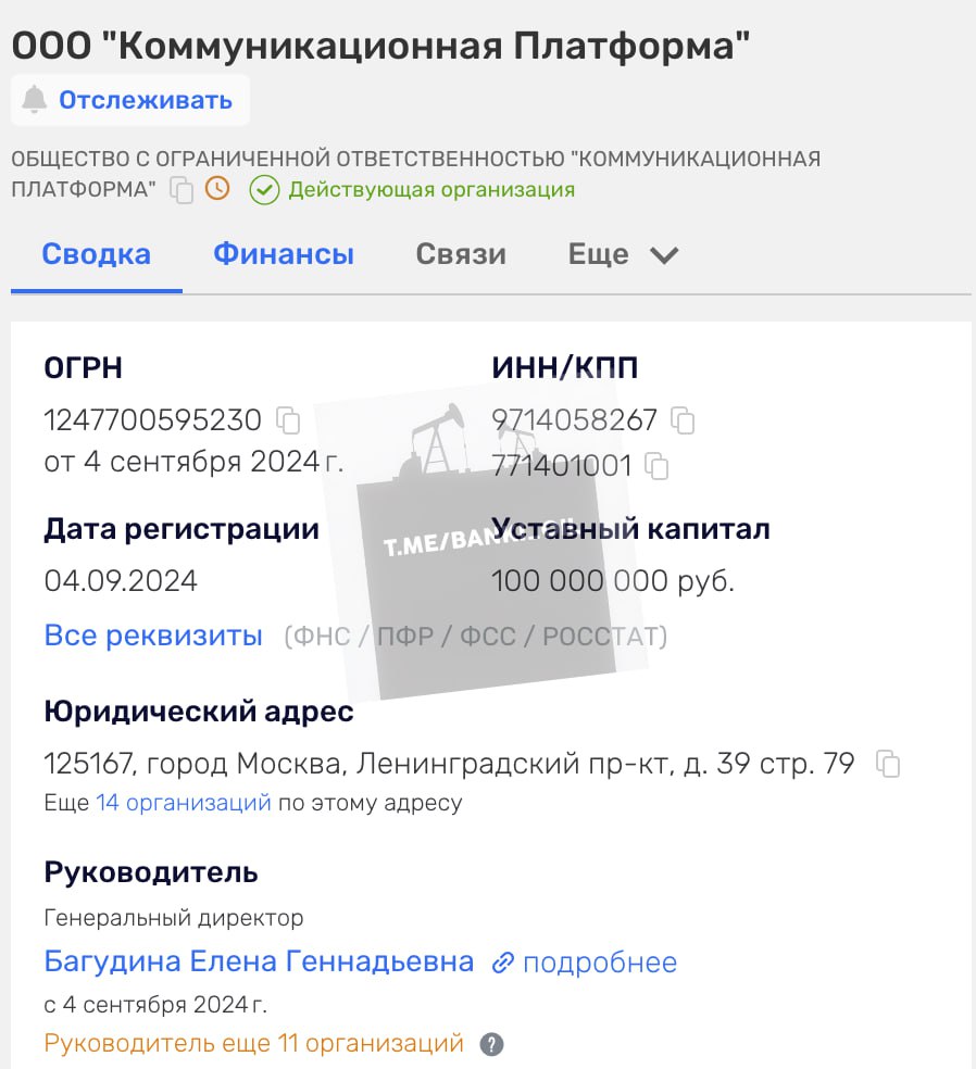 «Убийцу Telegram» в России разработали 71-летняя женщина и ещё один человек. Именно они числятся в компании «Коммуникационная платформа», которая указана в качестве разработчика Max.