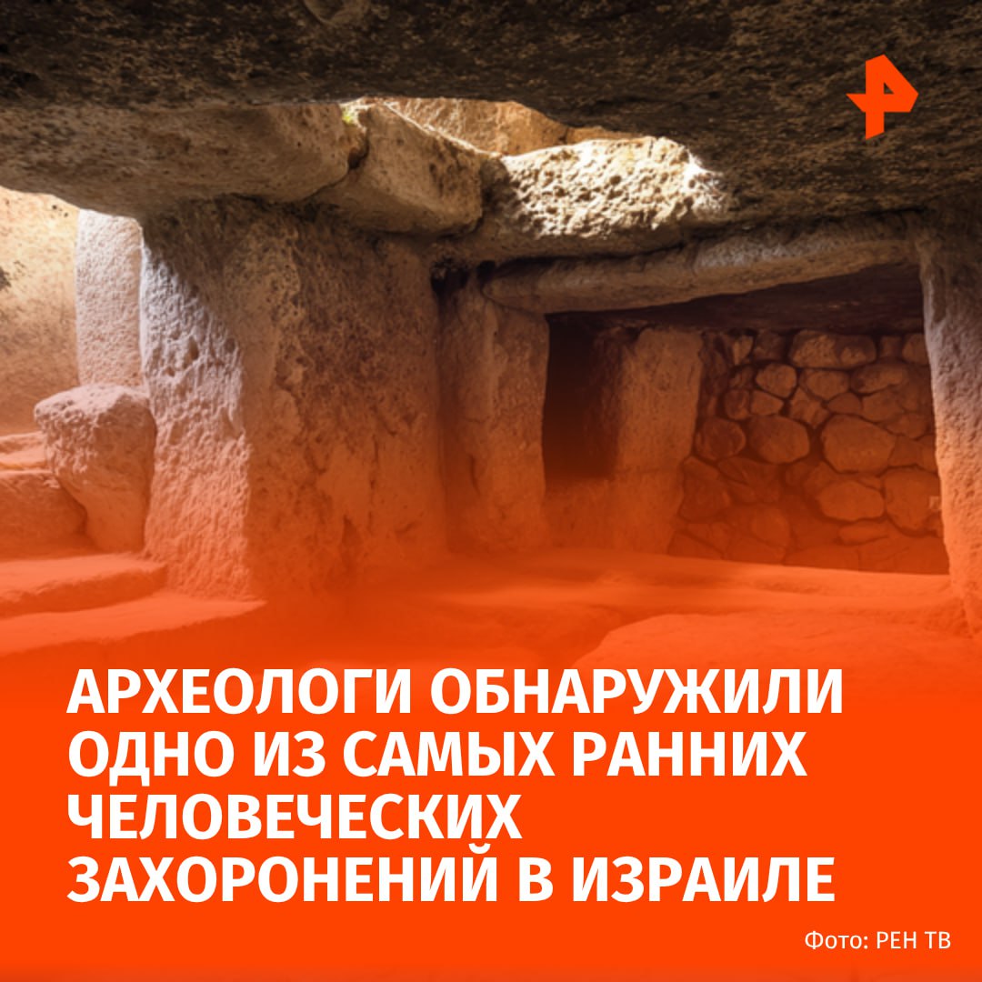 100 000-летнее захоронение с людьми в позе эмбриона нашли в Израиле. Об этом сообщает агентство Associated Press. Одно из самых ранних известных человеческих захоронений обнаружили в пещере Тиншемет в центральной части страны. Возраст находок оценивается в 100-110 тысяч лет. Специалисты нашли два практически целых скелета, три черепа и множество фрагментов костей и зубов. Рядом с ними находились камни из базальта, кости животных и куски охры для украшения предметов, которые, вероятно, использовались для проведения погребальных обрядов. "Фактически, это первое свидетельство подобного поведения", — считает профессор Йоси Зайднер, который руководил раскопками. Установить, к какому виду принадлежали обнаруженные в Тиншемете люди, пока не удалось. МАХ Отправить новость