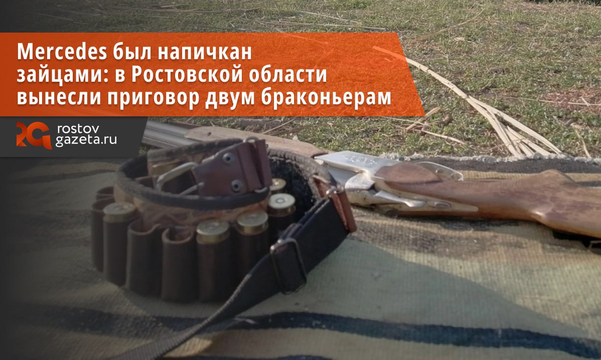 Суд в Сальске вынес приговор браконьерам, незаконно поймавшим 27 зайцев.   Это были те самые браконьеры, которые в начале января охотились на зайца «из-под фар» на территории охотничьего хозяйства «Кугультинское». Когда полицейские поймали правонарушителей, в их машине обнаружили три десятка зайцев, среди которых были и беременные зайчихи.  По данным суда, фигурантов дела было двое: Яковлев Д. и Асадулаев М. Им вменяют незаконную охоту с причинением крупного ущерба группой лиц по предварительному сговору. Выяснилось, что в конце декабря 2024 года мужчины договорились поохотиться на диких животных, не имея при этом разрешения на их добычу.  Всего браконьерам удалось убить 16 самок и 11 самцов зайцев, которых они складывали в багажник автомобиля Mercedes.  Ущерб природе оценили в 113 тысяч рублей. Мужчинам назначили наказание в виде трех лет лишения свободы условно с испытательным сроком в один год. Также им запретили заниматься охотой в течение одного года.      Подписаться   Прислать нам новость