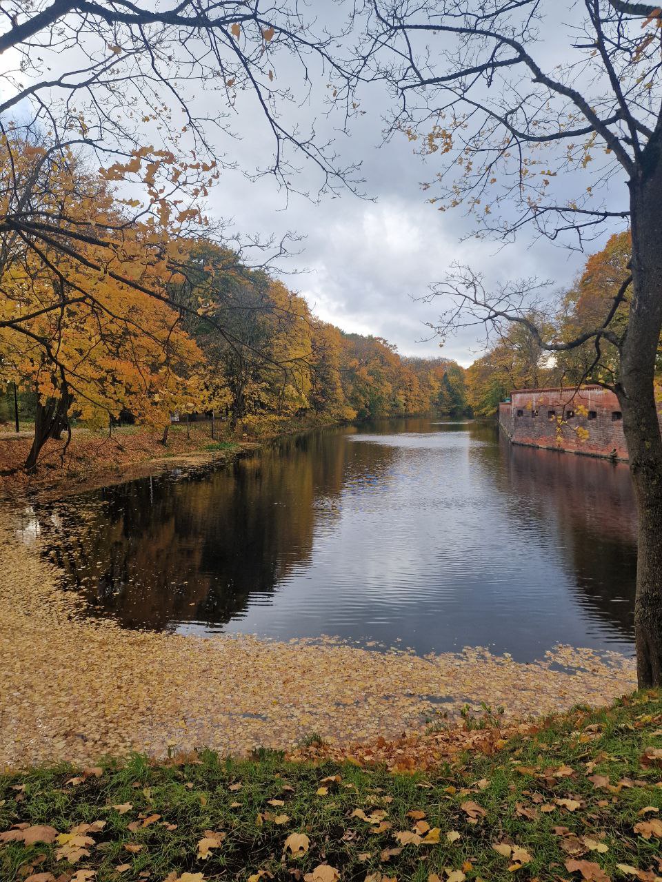 Дагестан Калининград Бурятия Алтай Мурманск и Дальний Восток занимают лидирующие позиции среди внутренних направлений по России на которые активно растет спрос со стороны туристов они постоянно привлекают новую аудиторию заявил РИА Новости глава Российского союза туриндустрии РСТ Илья Уманский А всё потому что мылюбимсвоюработу