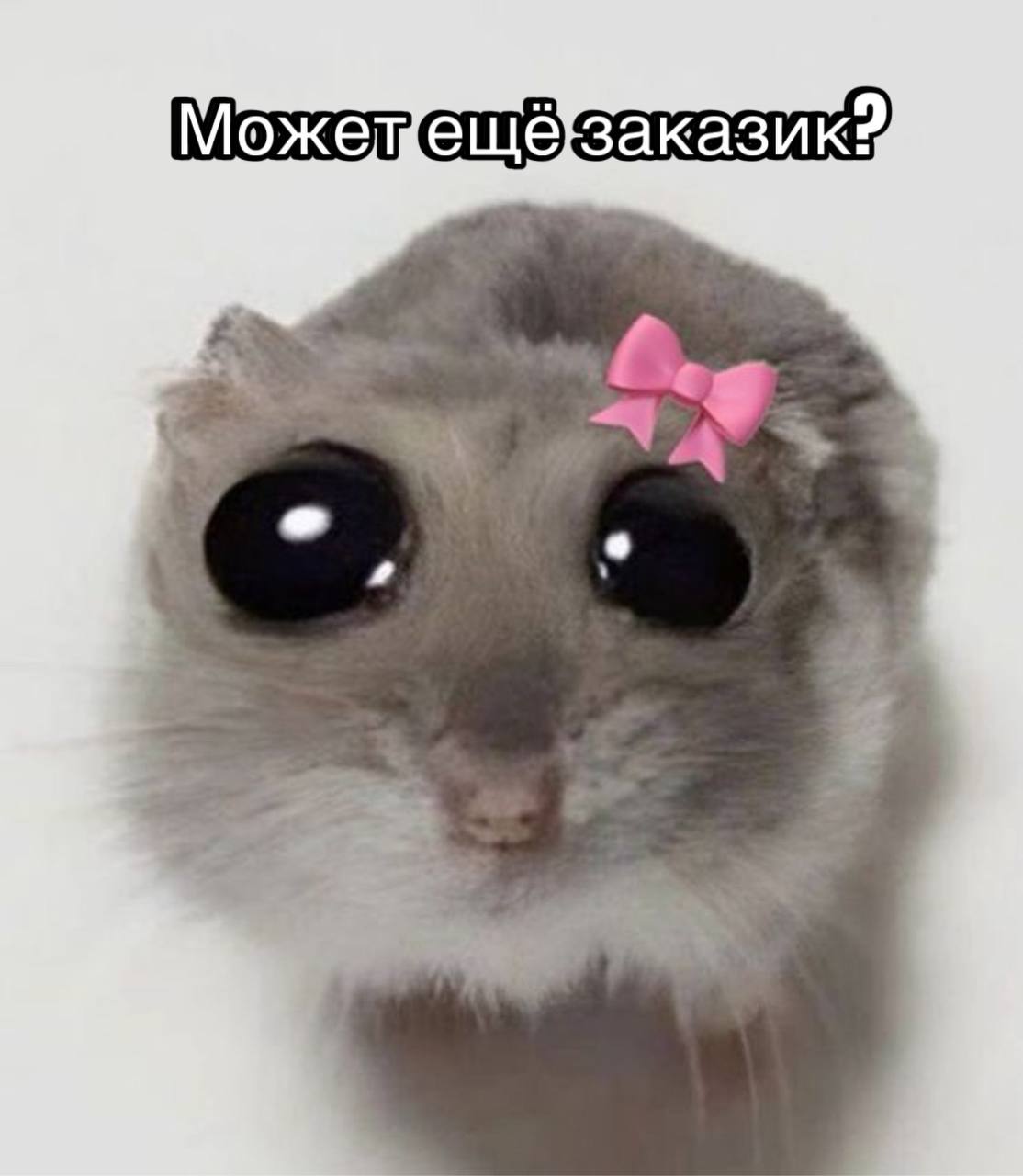 Россиянки массово уезжают в рехабы из за шопоголизма Шопоголиков начали даже кодировать специалисты обещают сделать всё чтобы люди перестали бездумно закупаться на маркетплейсах Проводят такие мероприятия в частных клиниках Девушки сами обращаются туда иногда их приводят родные Полное исцеление от шопоголизма возможно всего за один курс в рамках которого проводят 4 сессии с психотерапевтом Распрощаться с импульсивным шопингом стоит россиянкам от 20 до 40 тысяч рублей Если четыре встречи со специалистом не помогли тогда уже в дело вступает рехаб Лечение в нем происходит медикаментозно если обнаруживают какие либо заболевания депрессию тревожное или импульсивное расстройство иногда предлагают даже гипноз Стоит такой отпуск в рехабе уже дороже от 2 до 5 тысяч рублей за сутки Девочки нам надо