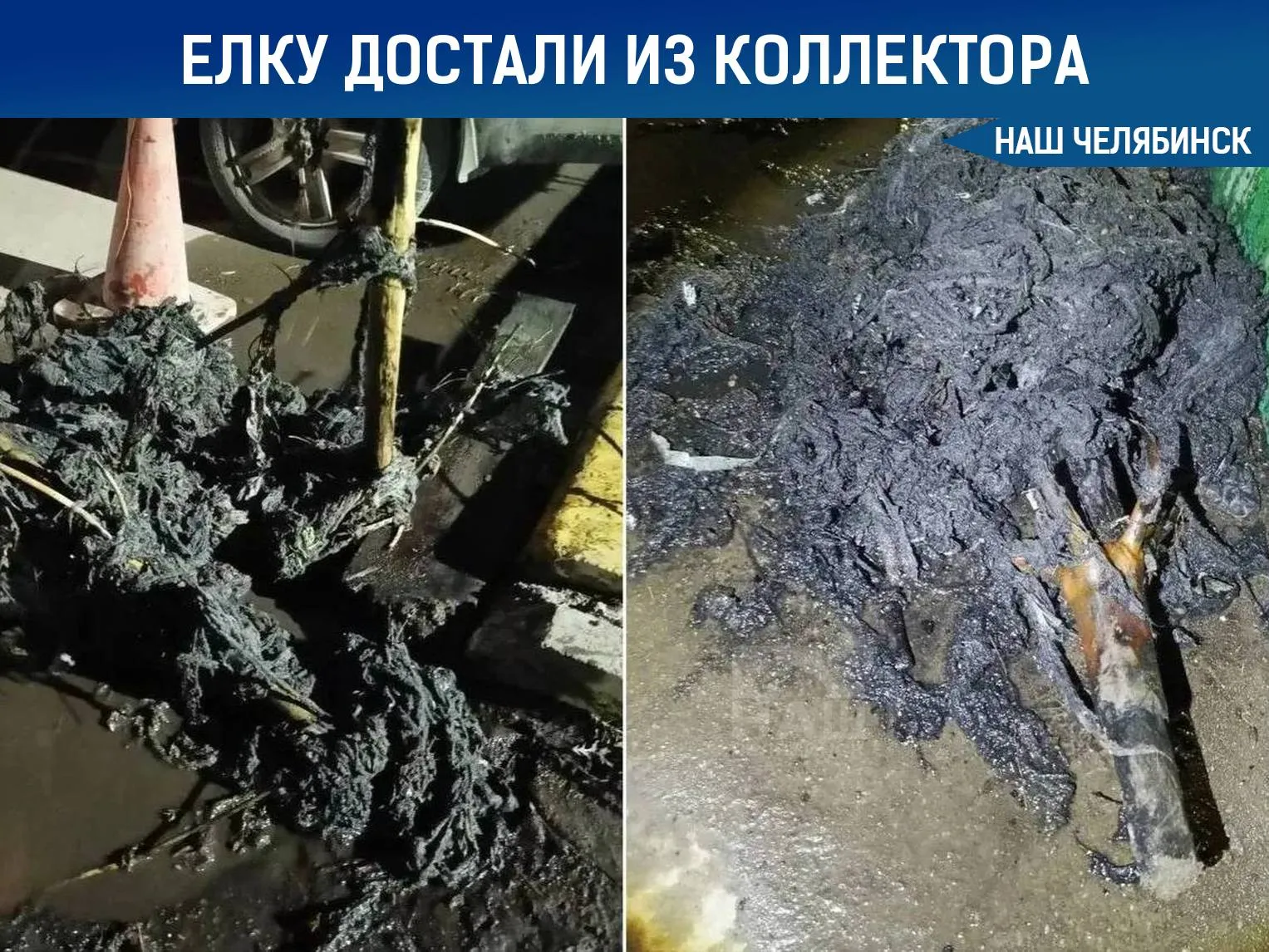 Необычная находка из за новогодней елки произошел засор в коллекторе Аварийная ситуация случилась в Копейске Также коммунальщики достали тряпки и влажные салфетки Из за засора в жилом доме затопило подвал Специалисты просят не выбрасывать мусор в канализацию Мы в MAX ВК ОК ТГ Не пропустите важные новости