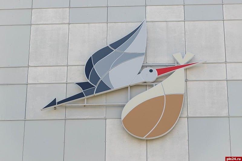 В Псковской области в январе родились 282 малыша в том числе два ребёнка которые стали десятыми детьми в своих семьях По данным Псковского перинатального центра за первый месяц 2026 года В Пскове 211 детей 104 мальчика 107 девочек 2 пары двойняшек 2 мамы стали многодетными в десятый раз Также 40 семей пополнились третьим ребёнком 12 четвёртым 7 пятым 1 шестым В Великих Луках 71 малыш 38 мальчиков 33 девочки 1 мама родила седьмого ребёнка 13 семей третий ребёнок 6 четвёртый 3 пятый 2 шестой Итого по региону 282 новорождённых в январе