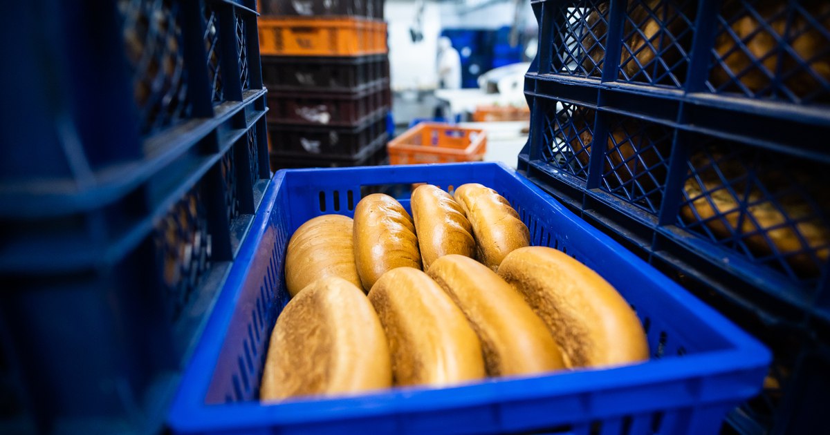 Антимонопольщики захотели проверить не завышают ли цены на булки и хлеб в регионах Федеральная антимонопольная служба поручила своим территориальным управлениям проверить насколько обоснованно в регионах формируются оптово отпускные цены на хлеб и булочные изделия Речь идёт о продукции из пшеничной и ржано пшеничной муки Ведомство планирует проанализировать финансово экономические показатели участников рынка как самих производителей хлеба так и организаций которые занимаются его сбытом Проверка будет охватывать данные за 2025 год Если антимонопольная служба выявит нарушения или необоснованный рост цен будут приняты меры