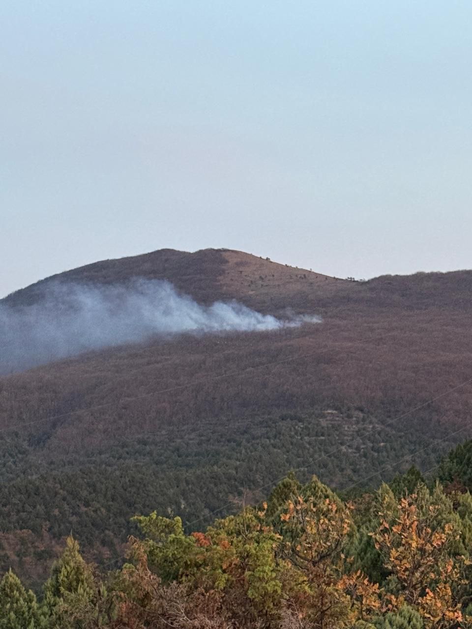 Лесной пожар в Новороссийском лесничестве локализован По информации министерства природных ресурсов Краснодарского края возгорание локализовали в 12 00 на площади в 1 2 га В тушении задействованы 69 человек специалисты ГБУ КК Краевой лесопожарный центр ГУ МЧС России по Краснодарскому краю представители муниципалитета и волонтеры Задействовано 20 единиц техники Перейти в наш канал МАХ Подпишись поделись krasnodarkray1 Прислать видео новость