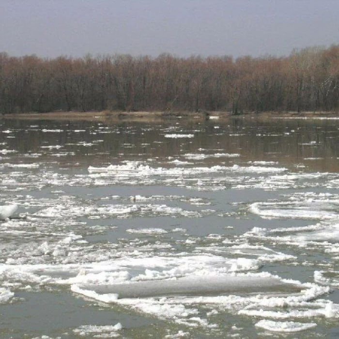 О сложной ситуации с весенним половодьем в Иркутской области предупредил Росгидромет В регионе ожидаются максимальные уровни воды выше нормы Этого стоит ждать на реках Нижняя Тунгуска и левобережных притоках Ангары Есть вероятность образования заторов льда после вскрытия рек что может привести к затоплению пониженных участков населенных пунктов Аналогичную ситуацию прогнозируют и в других уголках Сибири Например уровень воды выше нормы в период половодья ожидается в Новосибирской и Томской областях и Красноярском крае Подписаться на канал