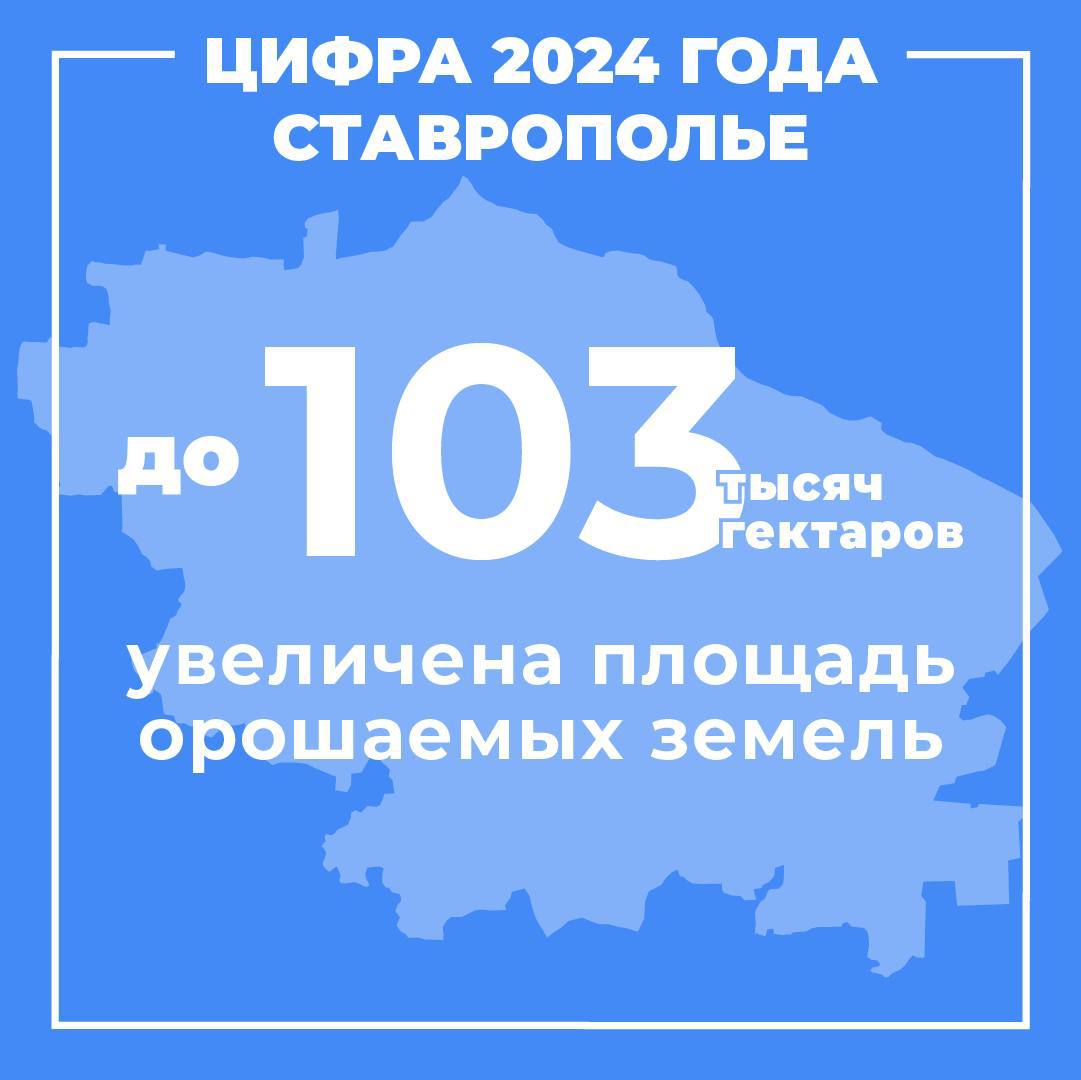 В 2024 году, несмотря на погодные аномалии, наши аграрии обеспечили достойный урожай. 8,3 млн тонн составил валовой сбор зерновых. На 15% выросло производство овощей закрытого грунта, плодов и ягод. По этим направлениям край входит в число лидеров страны.  Снижаем импортозависимость в семеноводстве. Наращиваем высев отечественных семян подсолнечника, сахарной свеклы, сои. Есть позитив в животноводстве. Выросло производство молока, повышается продуктивность молочного стада. В среднем ставропольская буренка дает в год более 9,1 тонны молока – на 15% больше среднероссийского показателя.   Ключевой задачей развития отрасли в перспективе вижу повышение стабильности работы наших сельхозпредприятий. Будем минимизировать риски за счет агрострахования, наращивать мелиорацию. Для этого уже создан хороший задел. В 2024 году площадь орошаемых земель в регионе достигла 103 тысячи га. За 10 лет – мы увеличили ее в 3,5 раза. Застрахована треть сельхозземель. Эту работу будем продолжать.