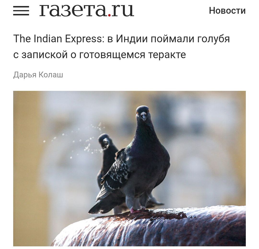 Важнейшие экономические новости голубь задержан на границе Индии и Пакистана У него на лапе была записка с угрозой взорвать ж д станцию Сейчас все службы приведены в режим повышенной готовности выясняют это просто хулиганство или хорошо спланированный заговор По мнению индийских экспертов по безопасности голубь мог быть специально обучен и выпущен через границу с запиской в когтях investingcorp