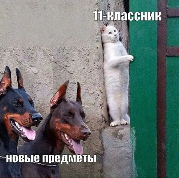 Российская школа продолжает курс на апгрейд сегодня стало известно что в стране всерьёз обсуждают возвращение НВП как отдельного предмета Причём курс может оказаться почти вдвое объёмнее нынешних Основ безопасности и защиты Родины Правда в Госдуме пыл коллег немного остудили глава комитета по обороне Андрей Картаполов напомнил что необходимые часы в программу уже добавили в прошлом году и плодить новые предметы значит перегружать и без того уставших подростков На прошлой неделе всплывали и другие идеи общественники например предлагали ввести уроки ЖКХ учить школьников разбираться в коммунальных квитанциях счётчиках и управляющих компаниях чтобы выпускник не впадал в ступор при первом платеже за воду А ещё замглавы администрации президента Максим Орешкин говорил о том что устные экзамены в будущем сможет принимать ИИ В общем эксперименты над школьниками продолжаются и если так пойдет и дальше то ученикам в будущем придётся быть универсалами надо будет уметь и автомат собрать и квитанцию прочитать и нейросеть обмануть на экзамене     Голос торамы в MAX