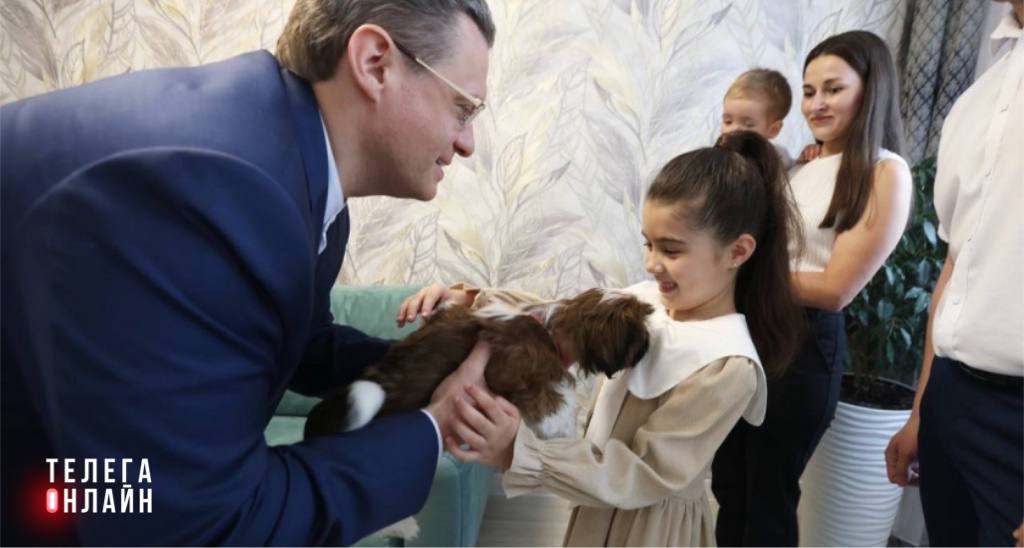 Письмо, щенок и банка сгущенки  6-летняя Мирослава Абрамова из Вологодской области написала письмо Путину и попросила щенка. Не робособаку, а самого настоящего — живого, теплого, хвостатого.  Ответ пришел. Точнее, приехал — с сопровождающим в лице губернатора Вологодской области Георгия Филимонова. Он и вручил Мирославе пушистого ши-тцу от имени главы государства. Девочка дала щенку имя, погладила, прижала к сердцу. А в благодарность угостила губернатора сгущенкой.   Теперь у Мирославы есть друг, у губернатора — сладкое послевкусие, а у администрации президента — плюсик в карму от детской радости.