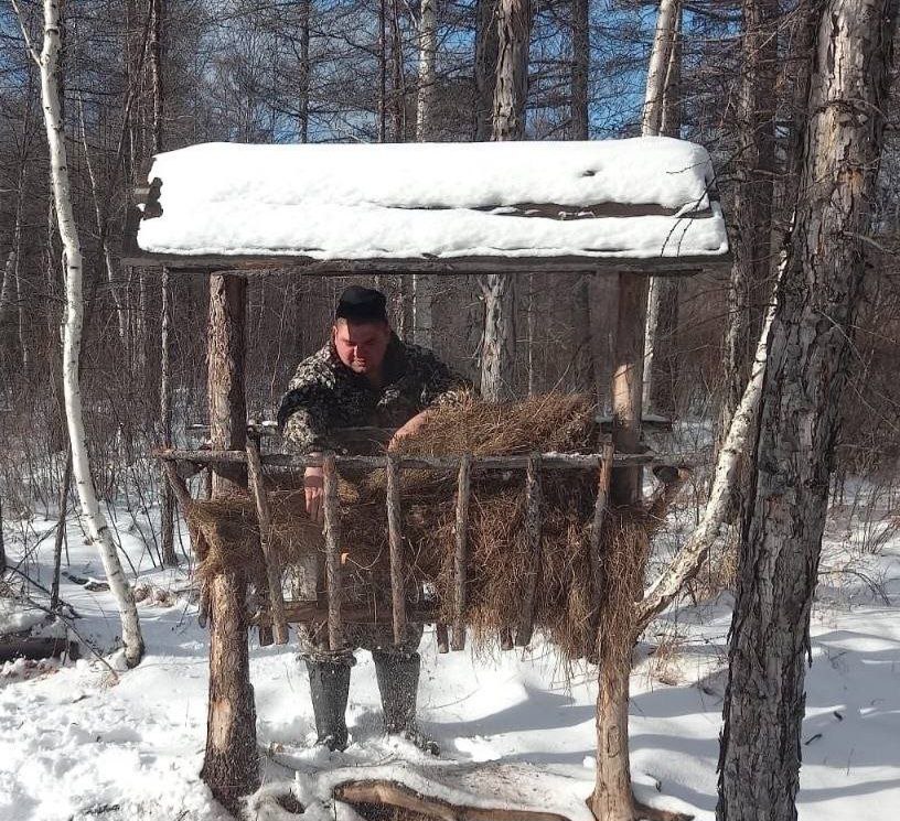 В Ивано Арахлейском парке реализованы мероприятия по охране и управлению фауной в 2025 году В рамках программы сохранения животного мира в 2025 году на территории Ивано Арахлейского парка проведены важные биотехнические мероприятия направленные на охрану и поддержку фауны В ходе работ обустроены подкормочные площадки заготовлено более тонны овса и две тонны соли для питания диких копытных животных Эти меры позволили обеспечить необходимые условия для правильного питания и поддержки популяций видов находящихся под охраной на территории парка отметил глава регионального Минприроды Павел Волжин Также в рамках природоохранных мероприятий проведены учёты животного мира которые помогли уточнить численность и распределение видов на территории парка Это создало основу для планирования дальнейших мероприятий по сохранению и восстановлению природных экосистем Особое внимание уделялось вопросам защиты водных ресурсов в условиях обильных снегопадов и повышенных рисков замора воды В парке проведены мероприятия по расчистке световых полос на водоёмах и приобретено современное оборудование для мониторинга состояния воды включая измерители растворённого кислорода Эти меры позволили усилить экологический контроль своевременно выявлять угрозы и предотвращать возможный ущерб водным экосистемам Минприроды оопт