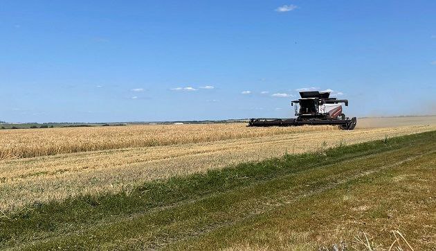 На полях Новошешминского района  Параллельно с заготовкой кормов хозяйства района постепенно переходят и к уборке зерновых культур.  Сельхозформирования заготовили около 6600 тонн сена  и заложили более 16 тыс. тонн сенажа. На закладку сенажа использованы первый укос многолетних трав и однолетние травы.  В ООО «АгроРаздолье» идет уборка озимой пшеницы и озимого рапса. Пока убрано 540 гектаров озимой пшеницы  урожайность 57,3 ц/га  и около 300 гектаров озимого рапса  урожайность около 30 ц/га . Специалисты хозяйства говорят, что урожайность зерна будет еще выше. #Шешминскаяновь