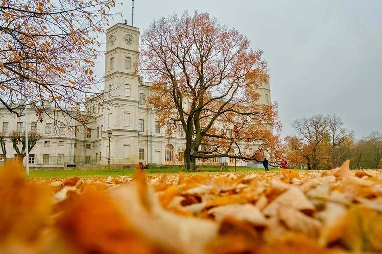 Вход в Дворцовый парк Гатчины стал бесплатным с 1 ноября Жители и гости Северной столицы могут прогуляться по пейзажному ансамблю и пошуршать остатками золотой листвы ежедневно с 06 00 до 22 00 кроме понедельника И это совершенно бесплатно Сергей Рятте ГМЗ Гатчина Читай нас в MAX Подпишись на Комсомольскую правду СПб