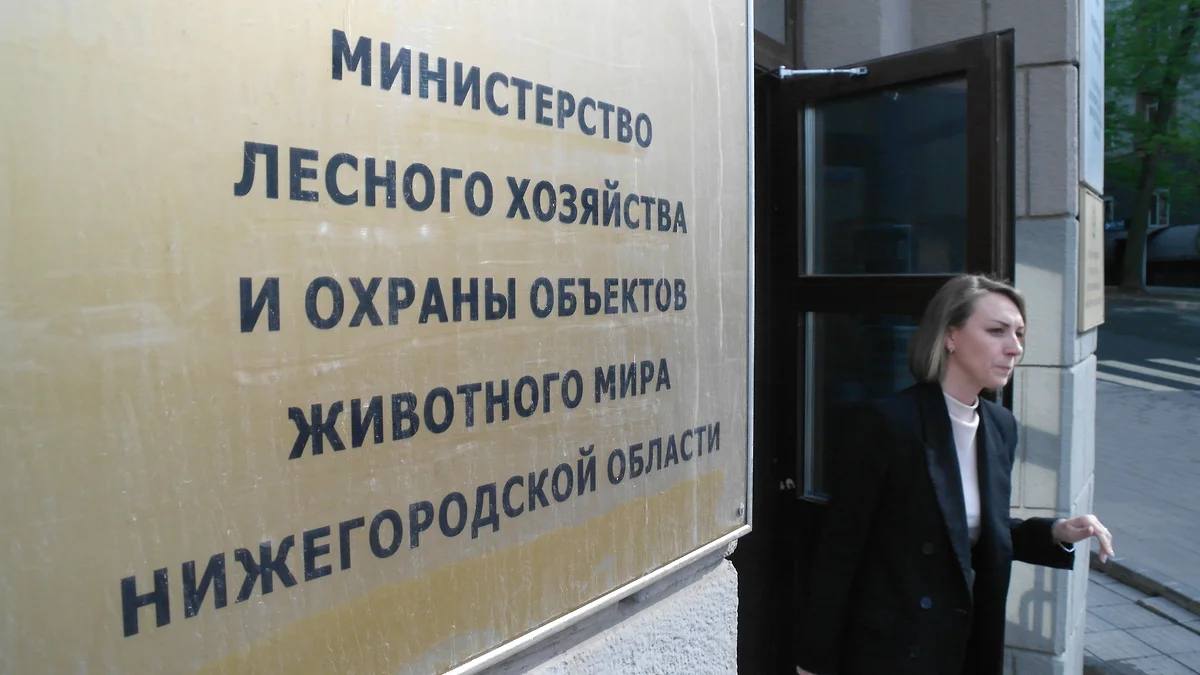 Мусор донесли до Верховного суда Министерство лесного хозяйства Нижегородской области не исполнило решение суда, по которому обязано ликвидировать несанкционированную свалку в лесополосе на Московском шоссе. Ведомство обратилось в Верховный суд РФ, считая, что занятые незаконными отходами участки входят в черту Нижнего Новгорода и именно за счет города должна быть проведена рекультивация. На проведение необходимых работ требуется более 400 млн руб., но в бюджете Нижнего Новгорода таких средств не предусмотрено. В мэрии считают, что идущие судебные споры по границам города не мешают минлесхозу заниматься очисткой земель лесного фонда. Фото: Роман Яровицын, Коммерсантъ Подписывайтесь на «Ъ-Приволжье» Оставляйте «бусты»