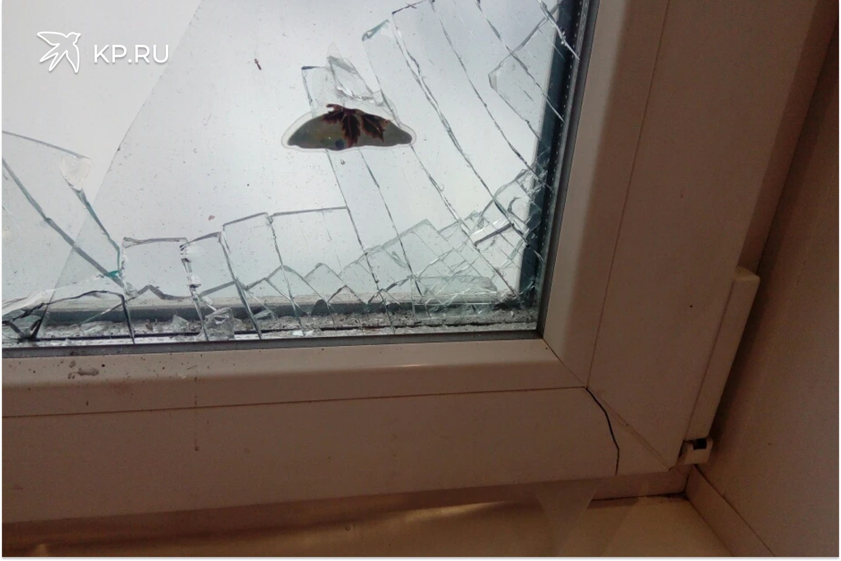 Неизвестные обстреляли окна в Воронеже на улице Южно Моравской Жители многоэтажного дома 24 на улице Южно Моравской в Советском районе Воронежа обнаружили на своих окнах следы от пуль а в квартирах металлические пули от ружья Фотографии с повреждениями стеклопакетов горожане разместили в соцсетях Потерпевшие обратились с заявлениями в полицию Кстати подобные случаи не редкость в Воронеже в последнее время В начале октября этого года неизвестные обстреляли окна в жилом комплексе Олимпийский Пострадали несколько квартир По факту проводилась полицейская проверка