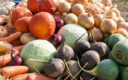 Объявлен отбор получателей субсидий по направлению господдержки Возмещение части затрат на поддержку производства овощей открытого грунта сельскохозяйственным товаропроизводителям за исключением граждан ведущих личное подсобное хозяйство и сельскохозяйственных кредитных потребительских кооперативов 2 отбор На портале предоставления мер финансовой государственной поддержки promote budget gov ru далее Портал объявлен отбор получателей субсидий по направлению господдержки Возмещение части затрат на поддержку производства овощей открытого грунта 2 отбор Отбор проводится с 19 ноября до 18 00 по новосибирскому времени 30 ноября 2025 года Все необходимые документы а также условия проведения отбора размещены на портале promote budget gov ru public minfin selection view 6ccb044f fdf6 4aef 9c45 a95a5e676863 showBackButton true competitionType 0