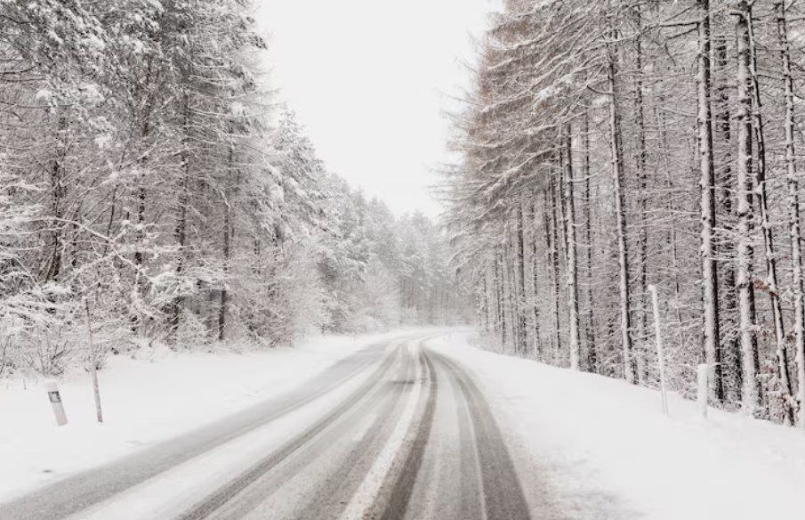 Ленобласть снова завалит снегом циклон Валли V движется на регион К концу этой рабочей недели в Петербурге и Ленобласти ожидаются обильные осадки и усиление ветра С 19 февраля в Петербурге и Ленобласти будет господствовать новый циклон получивший название WALLY V Атмосферный фронт принесет снегопады и усиление ветра до 10 м с предупредил синоптик Александр Колесов В Санкт Петербурге снег пойдёт после обеда и до вечера ждём умеренный снег Но по территории Ленинградской области местами и сильный снег будет особенно ночью 20 февраля заявил он Ослабевать снежный натиск начнет только днем 20 февраля За сутки в регионах может выпасть до 15 сантиметров осадков Фото Freepik   Подпишитесь на ivbg ru Ivbg в Max