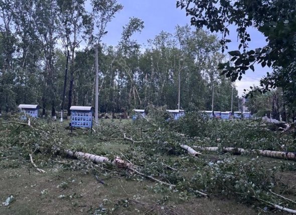 Шквальный ветер повалил 17 опор ЛЭП в Иркутской области Несколько муниципальных районов остались без света Читать подробнее на сайте...