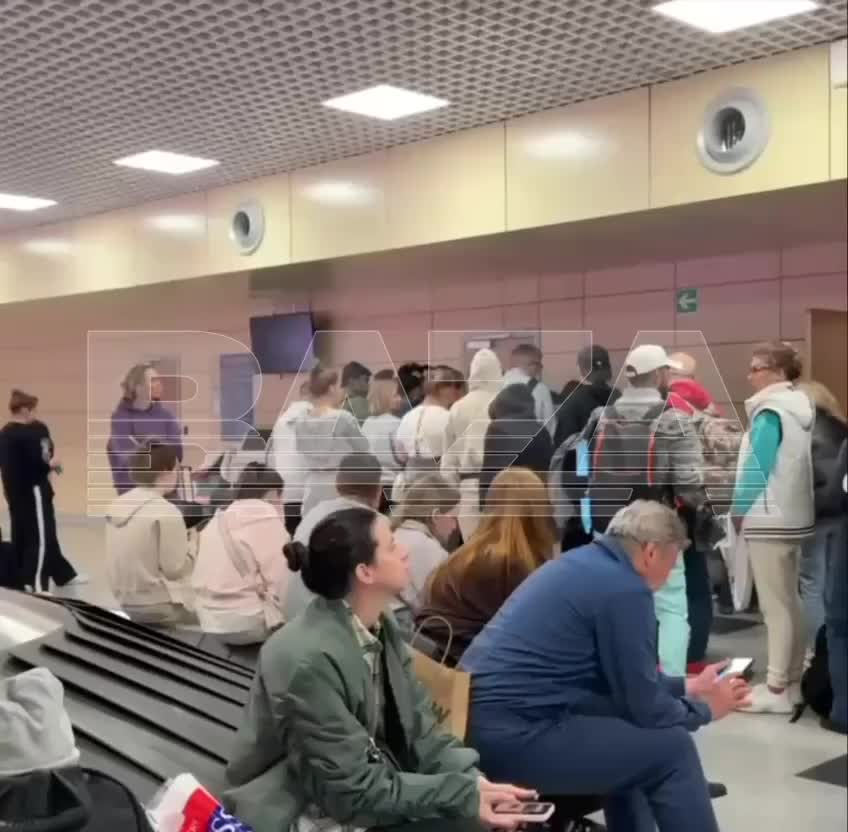 Пассажиры трех рейсов Air Arabia задержаны в Домодедово из-за утраченного багажа