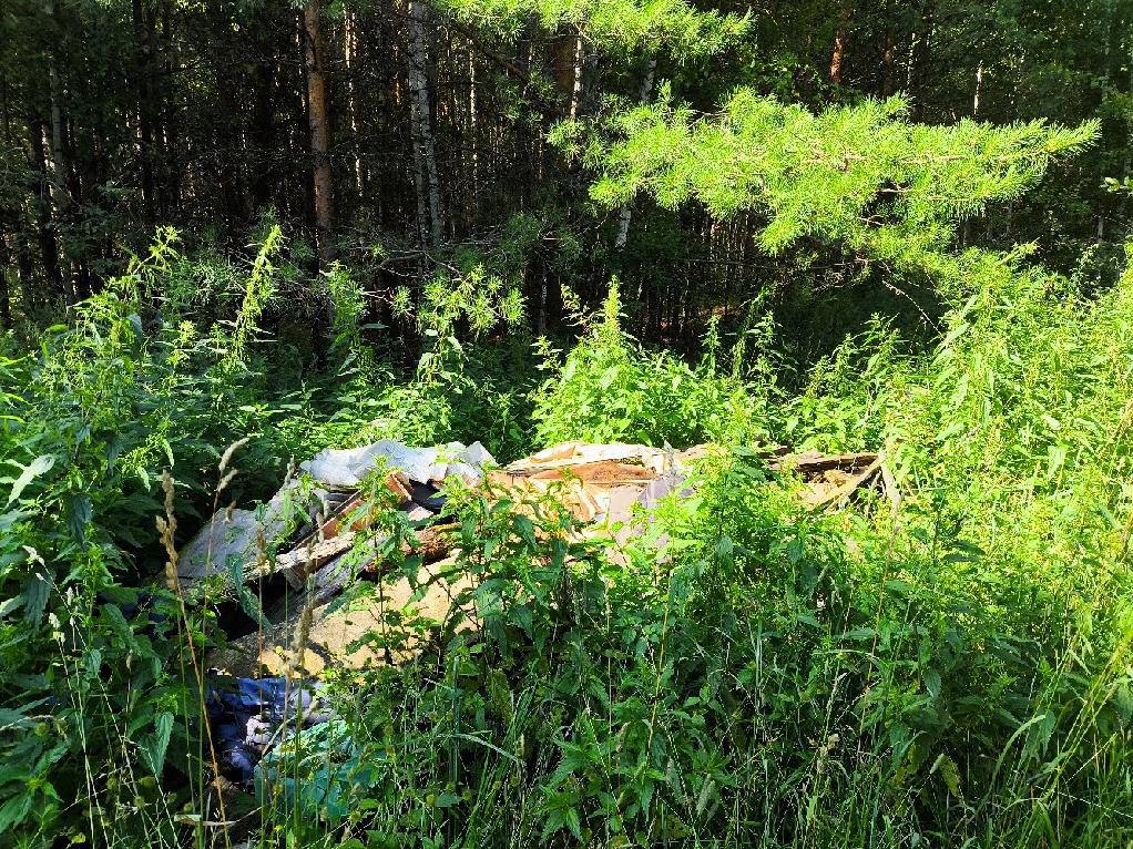 В лесу в окрестностях деревни Сахалинка Первомайского района Томской области обнаружена свалка строительного и бытового мусора общей площадью почти четыре тысячи квадратных метров Прокуратура направляла представление о ликвидации несанкционированной свалки в администрацию Первомайского района но нарушения до сих пор не устранены и надзорное ведомство обратилось в суд Подробнее на Бабре томск vtomsk24