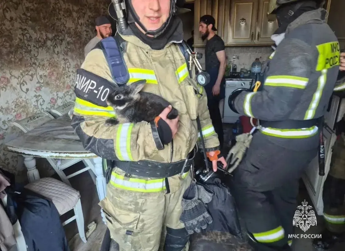 В Махачкале спасли домашнего кролика при пожаре в многоэтажке Накануне по системе 112 поступило сообщение о возгорании в многоквартирном жилом доме на улице А Шахбанова 10 в Махачкале В квартире на шестом этаже семиэтажного дома с мансардой горело имущество на балконе Пожар ликвидирован на площади 15 квадратных метров Благодаря слаженным действиям пожарно спасательных подразделений распространение огня на мансардные этажи удалось предотвратить Пожар потушили в течение 15 минут Погибших и пострадавших нет Из задымлённой квартиры спасателям удалось спасти домашнего кролика От МЧС России к ликвидации пожара привлекались 20 человек личного состава и 5 единиц техники Эвакуировано 32 человека Причина пожара устанавливается дознавателями МЧС РИА Дагестан в МАХ