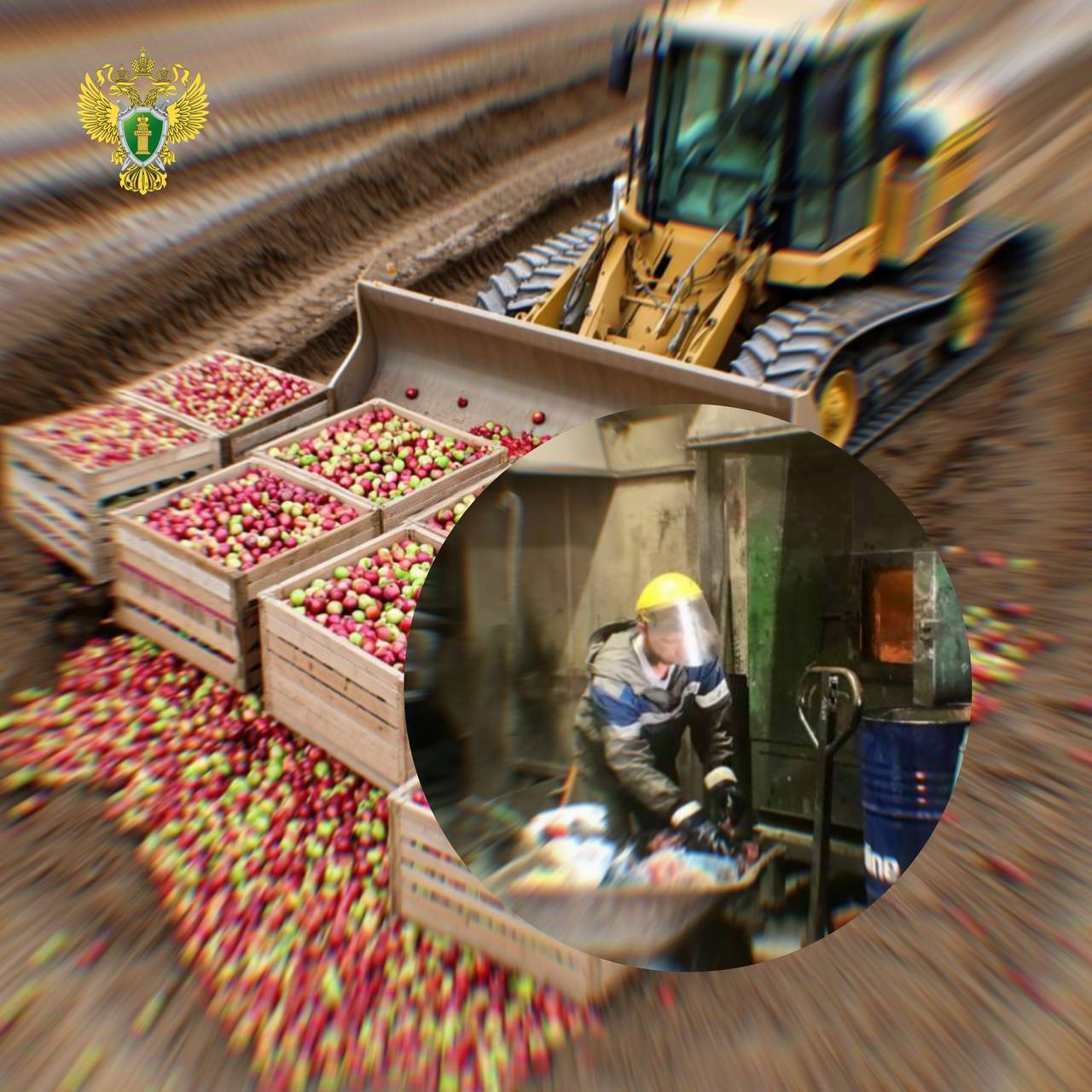 Об итогах проверки исполнения законодательства при ввозе и обращении в Российской Федерации отдельных категорий товаров По итогам 10 месяцев 2025 года Уральской транспортной прокуратурой в рамках осуществления надзора за исполнением законодательства при ввозе и обращении отдельных категорий товаров выявлено свыше сотни нарушений закона Мерами прокурорского реагирования за нарушение требований законодательства при реализации товаров без разрешения правообладателей несоблюдение сроков передачи конфискованных товаров в уполномоченные органы ненадлежащее хранение вещественных доказательств а также продажу на внутренних рынках страны запрещенной к ввозу санкционной продукции виновные лица привлечены к административной и дисциплинарной ответственности Так по представлению Тюменского транспортного прокурора Тюменской таможней надлежащим образом исполнено решение суда о передаче свыше 100 единиц конфискованных электронных систем доставки никотина и аксессуаров к ним в МТУ Росимущества в Тюменской области ХМАО ЯНАО В Курганском Оренбургском и Челябинском транспортных районах в суды направлены иски о признании около 80 тыс единиц товаров бесхозяйным либо контрафактным имуществом часть из которых уже рассмотрено и удовлетворено 54 тыс единиц товаров легкой промышленности обращено в собственность Российской Федерации В Карталинском и Оренбургском транспортных районах выявлено и с участием прокуроров уничтожено или возвращено на территорию иностранного государства свыше 200 тонн санкционной и немаркированной плодоовощной продукции и сыра Работа по надзору за исполнением законодательства в указанной сфере продолжается