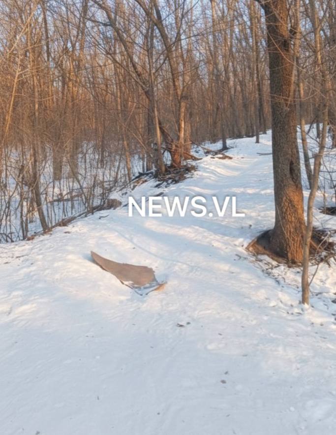 Прокуратура проверяет гибель ребёнка при катании на тюбинге во Владивостоке Прокуратура Приморского края начала проверку по факту гибели пятилетнего мальчика на улице Карьерной во Владивостоке Трагедия произошла 31 января 2026 года во время катания ребёнка на тюбинге с опасного склона Мальчик получил тяжёлые травмы несовместимые с жизнью Он скончался в машине скорой медицинской помощи Надзорное ведомство намерено установить все обстоятельства случившегося Отдельную оценку дадут соблюдению законодательства о защите жизни и здоровья детей Также проверят были ли обеспечены безопасные условия для детского досуга в этом районе Ход и результаты расследования уголовного дела о причинении смерти по неосторожности взяты прокуратурой на контроль Подписаться прислать новость