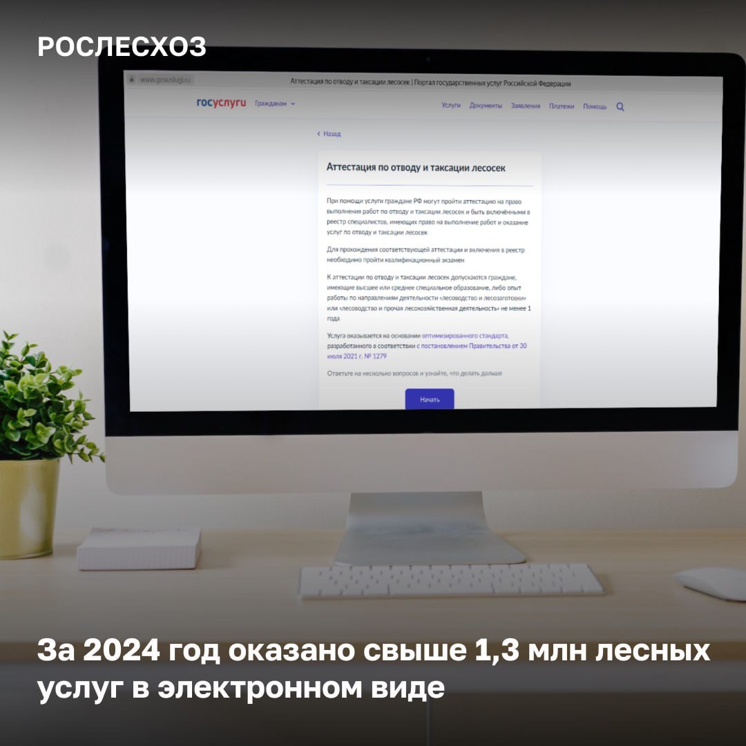 Востребованность в получении Госуслуг в 2024 году возросла на 8%. За аналогичный период прошлого года отраслевые услуги были предоставлены более 1,2 млн.     По итогам 2024 года лесные услуги были оценены пользователями на 4,7 баллов из 5. За такой же период 2023 года средняя оценка – 4,5 балла.     Популярные услуги 2024 года  - прием лесных деклараций и отчетов. Ее оказали свыше – 915 тыс. раз;  - заключение договоров купли-продажи лесных насаждений гражданами – более 132 тыс. раз;  - согласование проектов лесовосстановления – более 130 тыс. раз.   ⌛  Регионы-лидеры по оказанию лесных услуг в онлайне в 2024 году  - Ханты-Мансийский автономный округ  Югра  – 158 тыс.; - Иркутская область – 87 тыс.; - Вологодская область – 73 тыс.; - Республика Коми – 40 тыс.; - Архангельская область - 35 тыс.  «Ведомство реализует в своей работе принципы клиентоцентричности. На основе обратной связи от лесопользователей усовершенствуются механизмы заполнения отраслевых форм на портале Госуслуг. Ключевое – сделать не только получение лесных госуслуг простым и понятным, но и оптимизировать бюрократические процессы. С 1 января 2025 года все отраслевые услуги в регионах будут оказываться через ФГИС Лесного комплекса. Вся необходимая информация для заполнения отчетных форм будет браться автоматически из внесенных ранее данных», - сказал глава Рослесхоза Иван Советников.