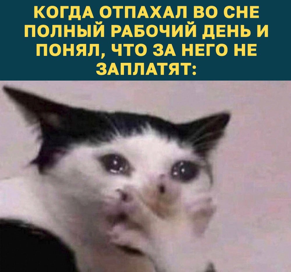 Почти половина ставропольцев продолжает работать во сне  Опрос среди трудяг из Ставрополя провёл сервис SuperJob. 36% респондентов признались, что даже во сне продолжают исполнять свои трудовые обязанности. Работа им снится из-за авралов, а также просто как кошмары.  Сны о трудовых буднях чаще посещают женщин и горожан до 35 лет. Мужчины и люди старшего возраста спят намного спокойнее.    Раз, два, Фредди заберёт тебя писать отчёты и составлять контент-план  В курсе   Новости Ставрополья   предложить новость