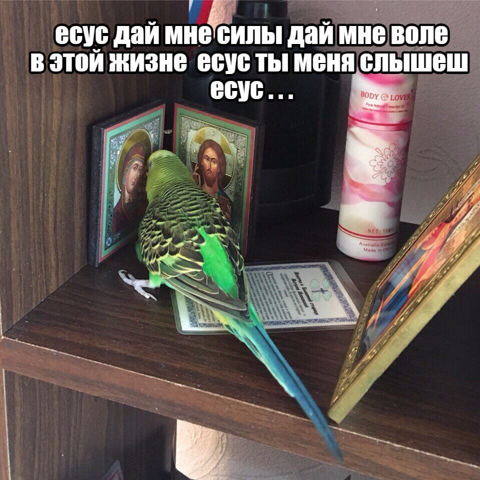 В РПЦ посоветовали защищаться от выгорания с помощью молитв «Умягчение злых сердец» или «Семистрельная». То есть работать меньше или ходить к психологам – вещи излишние, понятно. Теперь понятно, почему в стране такой взрывной рост потребления антидепрессантов – молимся мало. Riddle