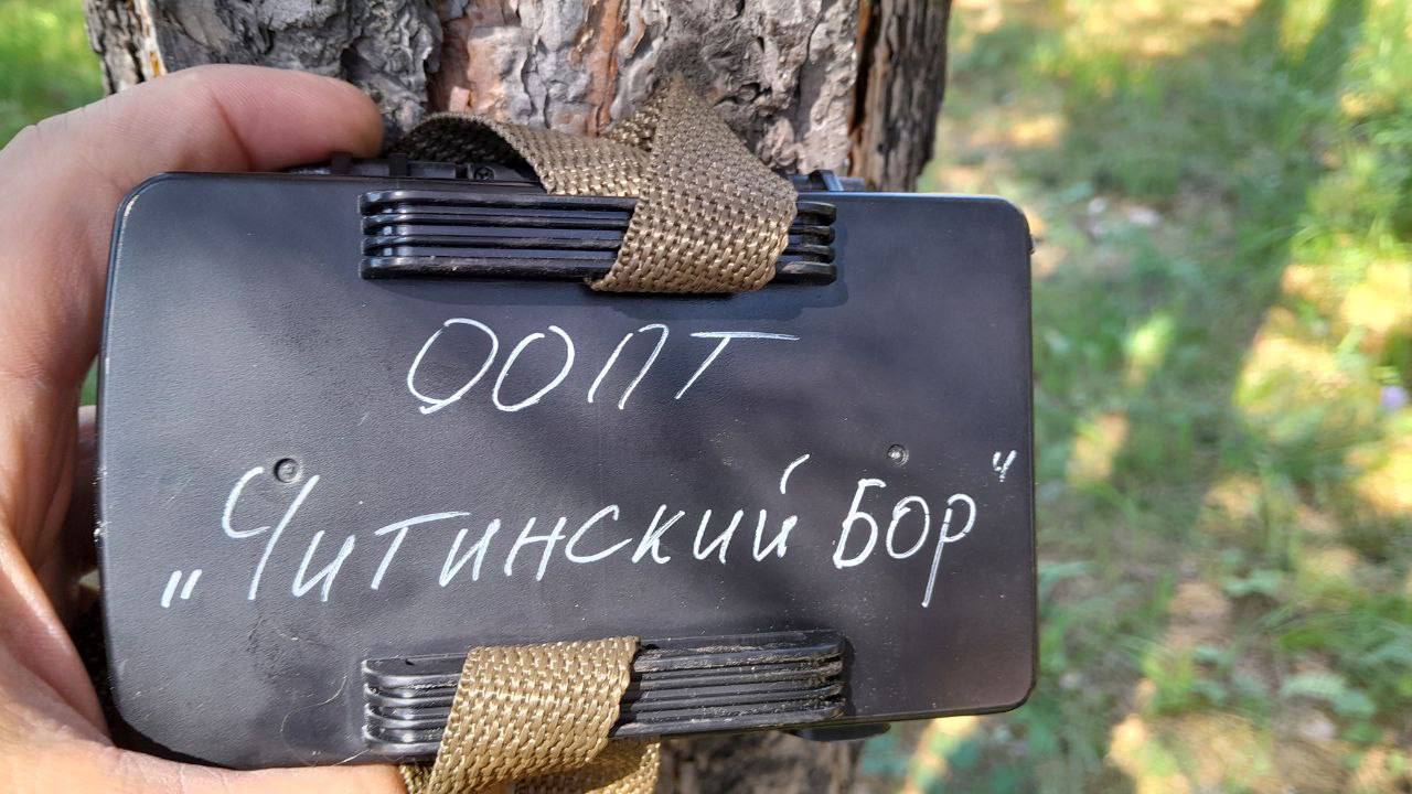 Фотоловушки установили после пожара в лесу будущего ООПТ в Чите   Общественники установили фотоловушки после пожара в лесу СибВО, где собираются создать ООПТ «Читинский бор». Особо охраняемая природная территория должна охватить лес на СибВО и в мкр Сосновый бор.    Напомним, общественники планируют создать ООПТ чтобы защитить лес на этой территории от вырубок и застройки. Но для создания особо охраняемой территории нужно подготовить эколого-экономическое обоснование. На это требовался 1 млн рублей – общественники сумму собрали и заключили договор с ИПРЭК СО РАН. На создание ООПТ уйдёт около года. При этом часть территории чиновники, по словам общественников, хотят забрать для строительства жилья, школы, медцентра и прочее. После появления информации о том, что заключён договор на подготовку эколого-экономическое обоснования в лесу в районе мкр «Ёлки» на СибВО случился пожар. Общественники считают, что это был поджог.  «Люди начали ставить фотоловушки в городском лесу после недавних возгораний. Это конечно не панацея, но поможет найти правонарушителей в случае чего. На фото не злоумышленник, а просто человек ходит под объективом во время настройки аппаратуры. Стоит сразу обозначить, что сбор средств на фотоловушки объявляться не будет, из-за множества возможных проблем. Лучше вскладчину со знакомыми покупать и ставить», - говорится в группе общественников.  Фото: тг-канал  18+  "Сохраним городской лес"    ChitaMedia Забайкальский край