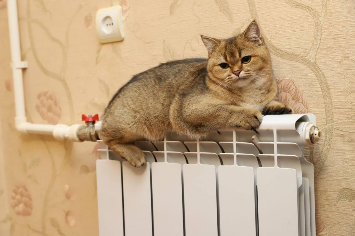 Аварию на теплотрассе в Калуге устранили kaluganews ru fn 1806168 html На улице Марата в Калуге устранили аварию на теплотрассе В дома уже скоро вернется тепло Прислать новость Подписаться Мы в MAX