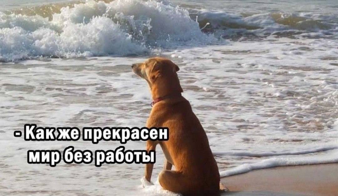 В Госдуме предложили исключить выходные из расчета отпусков Депутаты ЛДПР предложили исключить выходные дни из расчёта 28 дневного оплачиваемого отпуска чтобы россияне могли реально отдыхать всё положенное время а не терять его на уже гарантированные выходные Как рассказал Слуцкий в настоящее время сотрудникам обещано 28 полноценных дней для отдыха решения бытовых вопросов и восстановления сил но по факту часть от этого времени итак выходные дни положенные каждому трудящемуся по закону Изменения предлагается внести в статью 120 Трудового кодекса России Поддерживаете Кубанские Новости Мы в MAX