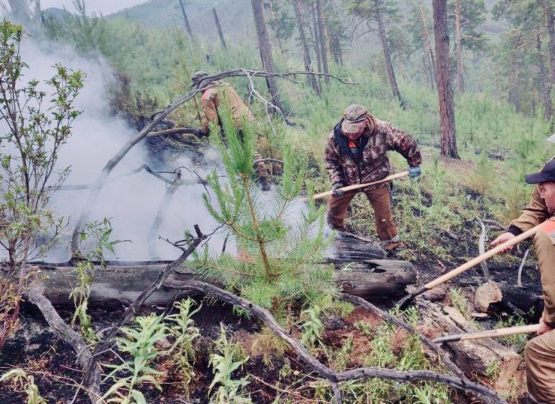 В Бурятии действует почти 50 лесных пожаров Как сообщили в Республиканском агентстве лесного хозяйства, на утро 30 июня в Бурятии действуют 46 лесных пожаров в Баргузинском, Баунтовском, Бичурском, Джидинском, Еравнинском, Кижингинском, Кяхтинском, Окинском, Прибайкальском и Хоринском районах. Их общая площадь составляет 78 055 га. #Бурятия Подробности в «Номер один» Сообщить нам свою новость можно по кнопке: Письмо в редакцию