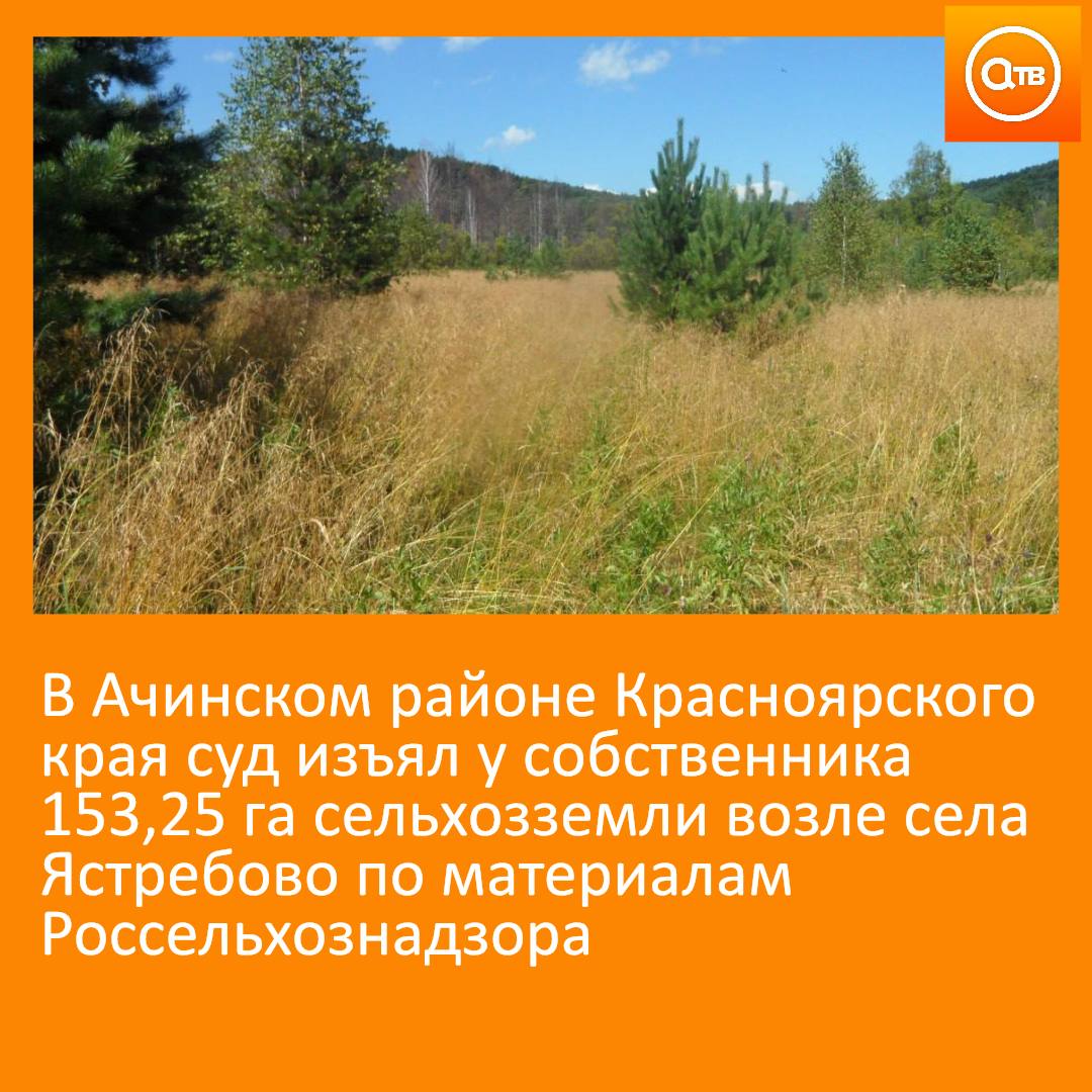 В течение трёх лет участок не использовался, зарастал сорняками и кустарником, предостережения и предписания игнорировались. После внеплановой проверки в 2024 году собственник был оштрафован, но нарушения не устранил.  В январе 2025 года материалы передали в Агентство по управлению госимуществом, которое добилось изъятия земли для продажи с публичных торгов.  Фото: роспотребнадзор по Красноярскому краю