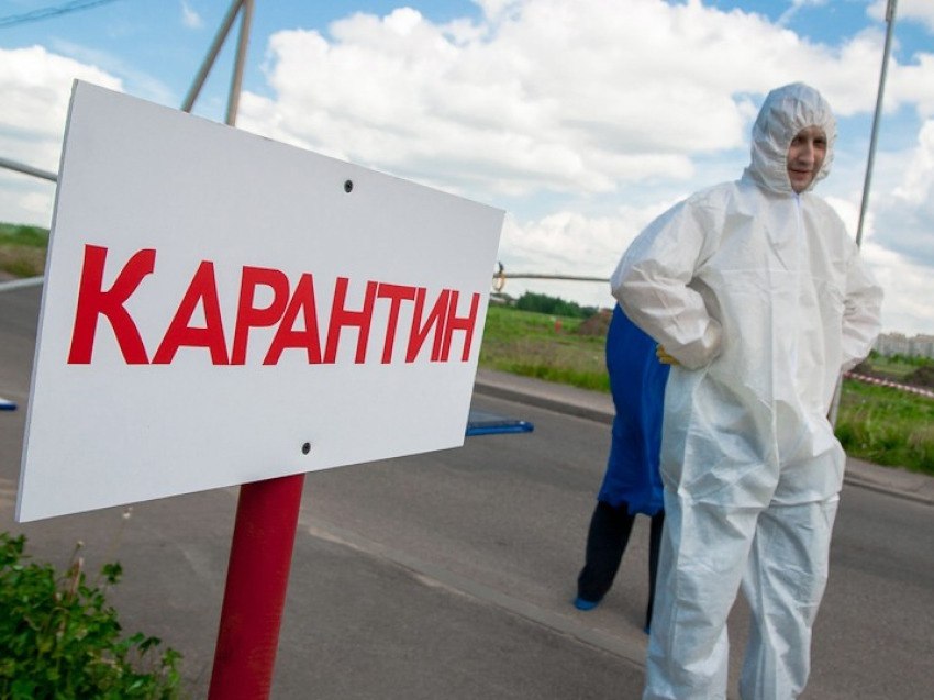 В Подмосковье введен карантин по бешенству в Раменском и Талдомском округах после обнаружения эпизоотических очагов. В зону карантина входят деревни и садоводческие товарищества, где запрещены мероприятия с участием животных. Решение утвердил губернатор Московской области. ____    #поток →