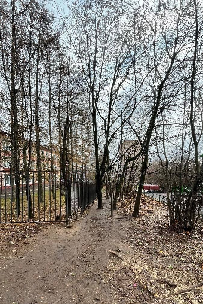 Сотрудниками отдела экологии за неделю осуществлено 28 выездов с целью обследования деревьев на землях муниципальной собственности и государственная собственность на которые не разграничена По результатам обследования выявлено 15 деревьев подлежащих ликвидации 10 деревьев подлежащих кронированию и 3 дерева в удовлетворительном состоянии Материалы направлены в коммунальные службы для проведения соответствующих работ Своевременность проведения таких работ позволяет обеспечить безопасность жителей и сохранить здоровые деревья в муниципалитете Ликвидация аварийных деревьев предотвращает их падение на здания автомобили и прохожих а кронирование помогает улучшить состояние деревьев и продлить их жизнь Специализированные службы в ближайшее время проведут все необходимые мероприятия Истра на MAXe Читай смотри делись актуальнО моИстра экология