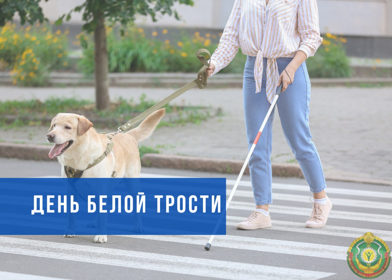 15 октября отмечается Международный день Белой трости В Беларуси традиционно с 15 октября по 15 ноября проводится месячник Белой трости Главная цель месячника информирование общественности о проблемах людей которые не видят мир об оказании им помощи и поддержки В Беларуси проживает более 27 тысяч людей с нарушениями зрения имеющих инвалидность из них 1 7 тысяч детей инвалидов Людям с инвалидностью гарантирована социальная поддержка со стороны государства в виде денежных выплат пенсии пособия государственная адресная социальная помощь предоставления государственных социальных льгот и гарантий оказания социальных услуг обеспечения техническими средствами социальной реабилитации Основные льготы и гарантии людям с инвалидностью предоставляются в зависимости от тяжести заболевания и не разделяются по категориям Это льготы на лекарства проезд санаторно курортное лечение и другие
